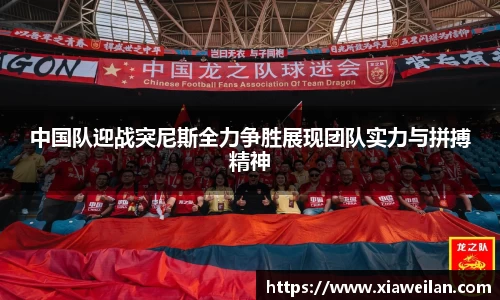 NG体育下载