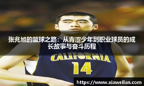 NG体育下载